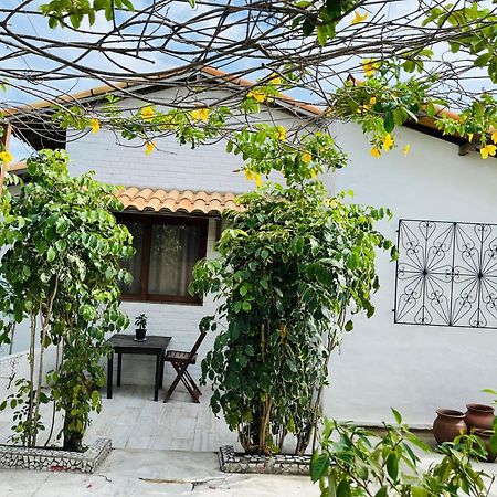 Casa Tua Pipa Appartement Praia de Pipa Buitenkant foto
