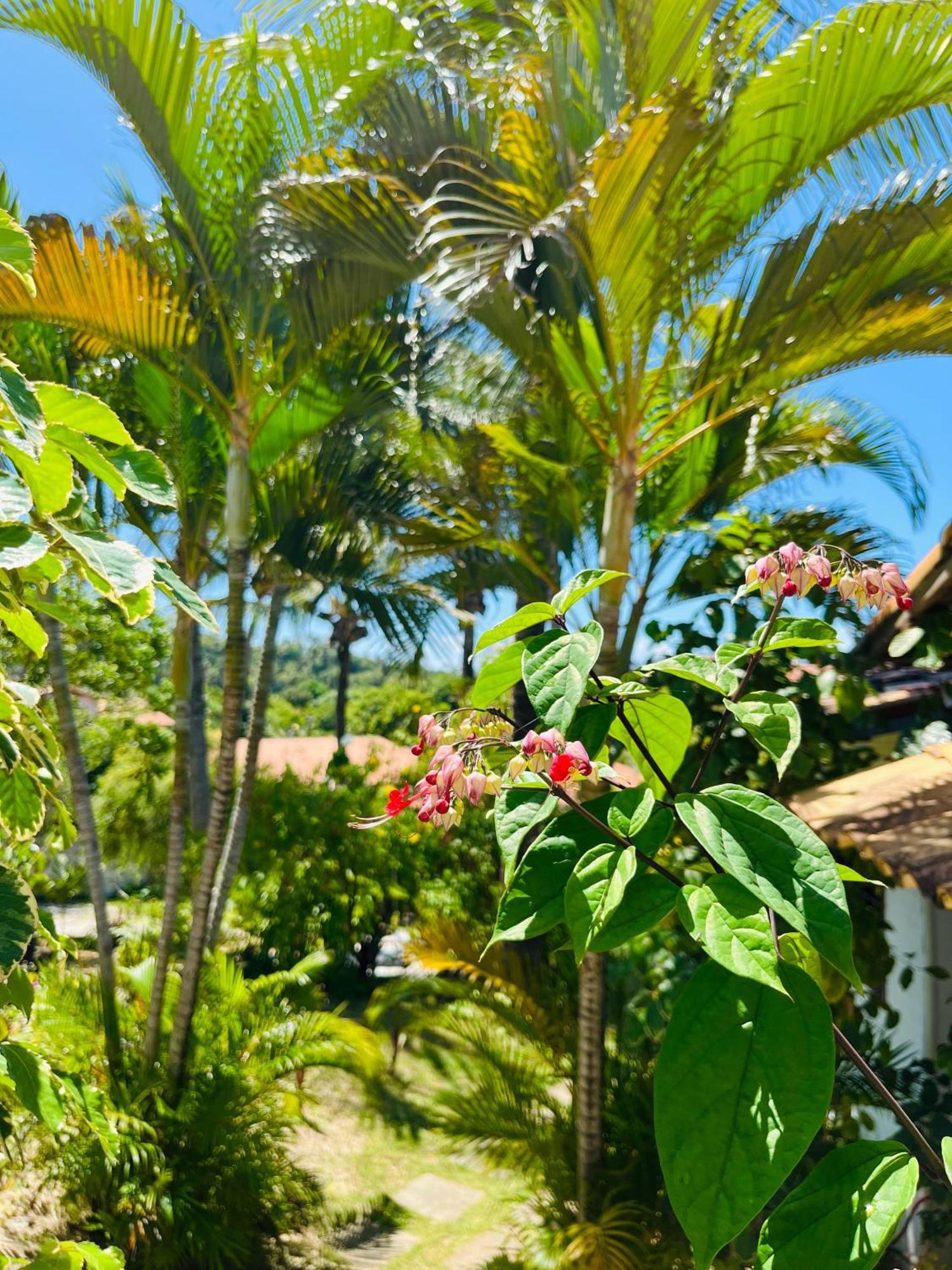 Casa Tua Pipa Appartement Praia de Pipa Buitenkant foto