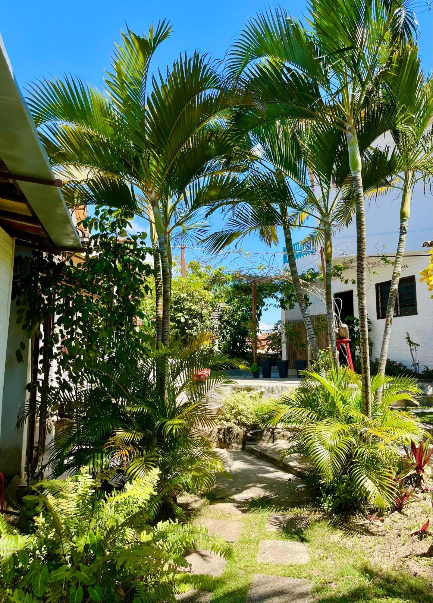 Casa Tua Pipa Appartement Praia de Pipa Buitenkant foto